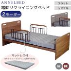  электрический bed 2 motor специальная кровать электрический наклонный bed Flat для бытового использования одиночный комплект поручень есть RY-002 FT WP карман матрац Anne фланель bed 