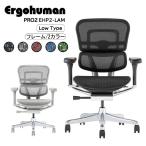 エルゴヒューマン プロ EHP2-LAM Ergohuman Pro2 オフィスチェア デスクチェア パソコンチェア ロータイプ 高性能 メッシュ 肘付き キャスター 昇降式 正規品