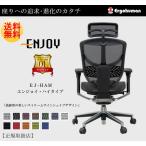 Ergohuman ENJOY エルゴヒューマン エンジョイ EJ-HAM オフィスチェア パソコンチェア ハイタイプ メッシュモデル 人気 おしゃれ