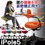 オフィスチェア iPole5 アイポール フ