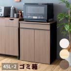 ショッピング分別 ゴミ箱 分別ドロワーダストボックス NotT ノット DB-F2200 ごみ箱 2連 45L 大容量 引き出し レンジ台 スタイリッシュ 幅60 コンパクト キャスター付き 木目 収納