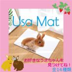 うさぎ うさぎマット 玄関マット うさぎお昼寝マット お世話マット うさぎ柄 うさぎ布 リビング用品 うさぎ用品 ラグ うさぎグッズ うさぎ小物 キッチンマット