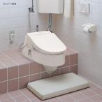 [CS501]TOTOswa let ( японский стиль модифицировано для туалет ) [ большая сумка -]