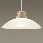 【LGB15348】 パナソニック ペンダント 大型ペンダント 調光不可