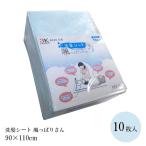 Yahoo! Yahoo!ショッピング(ヤフー ショッピング)入浴用品 洗髪シート 洗髪シート 颯っぱりさん 10枚入　