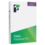 файл производитель Claris FileMaker Pro 2025 выше комплектация ( соответствует OS:WIN&amp;MAC) стандарт наличие =0
