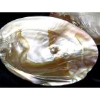  Rainbow. блеск жемчуг имеется ikechougai тарелка размер примерно 12-17cm натуральный пресная вода жемчуг имеется натуральный . раковина супер-скидка .. для контейнер как использующий . замечательно. za-s inmy-4