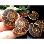  Mini размер 3A Anne mo Night ломтик примерно 10g-15g 2 шт. комплект. вес ..... включено . камень . цвет Anne mo Night окаменелость час. .. человек madaga Skull производство Power Stone 