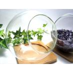 ボトリウム用 ガラスボトル 竹コースター付き ガラスの直径約120mm 斜め口の直径約69mm 高さ約115mm 竹コースターの幅約100mm 丸型 斜め口 ガラスボトル inmy