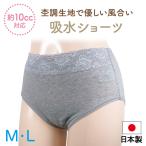 . вода шорты сделано в Японии (10cc). запрет трусы при недержании талия ширина гонки женский женщина женщина 50 плата 60 плата com Sanyo SS70