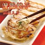 餃子 ぎょうざ ギョウザ 取り寄せ 大連 情熱餃子 20個入り 冷凍便 ニンニク 情熱 たっぷり