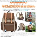 【予約販売 2026年2月20日発売予定