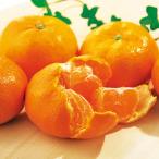  желающий. остров мандарин уншиу [ доставка период :11 месяц последняя декада ~1 месяц последняя декада ] / меласса .(mi can ) Ehime префектура фрукты ANA десерт гурман гурман ваш заказ все день пустой гурман подарок 