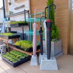 コンクリート　傘立て　3本用　インテリア　エクステリア　エントランス　玄関