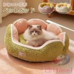 домашнее животное bed круг . bed bed цветок круглый тыква половина воздухо-непроницаемый тыква house zonchi- зима собака house собачья конура домашнее животное bed ... кошка bed собака bed 
