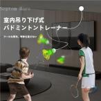  автоматика возврат бадминтон тренировка контейнер ракетка имеется один человек салон бадминтон zonchi- легко .. тренировка ...... час тоже веселый бадминтон тренировка комплект 