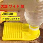 . пчела для кормушка 8 шт. комплект меласса пчела механизм подачи zonchi- вмятина выпуклость проект ... предотвращение . рассмотрение сделал водоснабжение . кормление . удобный пластиковый . пчела tool 