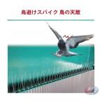  голубь .. товары птица . меры веранда . крыша. .. предотвращение . удобный zonchi-kalas.. птица .. как можно использовать 25cm×8 шт. комплект. установка легко .. item 