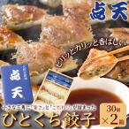 ショッピング餃子 大阪土産の定番「ひとくち餃子」(30個×2箱)【点天】