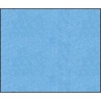 マット スタンダードマットS  スカイ・ブルー 75 × 90 cm [AM00048] クリーンテックス メーカー直送