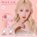 2箱購入ごとに1箱無料【3箱SET】 モラク ワンデー MOLAK 1DAY 2箱 10枚 宮脇咲良 カラコン 1日使い捨て モラクワンデー 定期便 定期購入対応