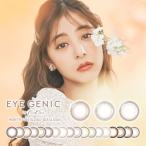 アイジェニック EYE GENIC マンスリー 1ヶ月 度なし 2枚入 2箱 14.5mm エバーカラー カラコン カラーコンタクト 新木優子 定期便 定期購入対応