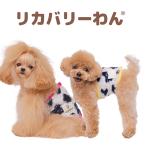 �y10�����{���牺�{���ח\��z�����J�o���[�O�b�Y 2026�N�[�N�`���[���H�~�V�� �y�e���w���c�EMOUMOU�x���N���o���h�z[SS����3L]�i2�F�j7353[��������]