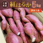 ショッピング訳あり 【 訳あり品 】 紅はるか 5kg 千葉県産 (不揃い) 農家直送 さつまいも