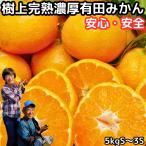 みかん 和歌山 有田 小玉 小粒 甘い 美味しい 糖度 5kg s〜3sサイズ 樹上完熟 ギフト 箱 買い 農家直送