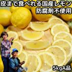 レモン 国産 ノーワックス 安心 防腐剤 不使用 5kg A品 皮まで食べれる 和歌山 有田さんさん リスボン レモン 黄色