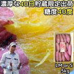 さつまいも 紅はるか 5kg l〜m or S 甘い 熟成 贈答用 大分 芦刈農産 ねっとり ギフト 箱入