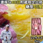 ショッピングさつまいも さつまいも 紅はるか 5kg 2l  訳あり 大きめ 生芋 甘い 熟成 大分 芦刈農産 ねっとり 系 ギフト 焼きいも