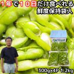 枝豆 だだちゃ豆 白山 山形 約1.2kg 300g×4袋入 鶴岡 一年に10日しか食べれない 送料無料 佐藤農園直送 だだ茶豆  えだまめ だだちゃまめ エダマメ 贈答用