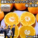 みかん いよかん 愛媛 明浜 訳あり 甘い 美味しい 糖度 10kg s〜L 家庭用 樹上完熟 箱 買い 農家直送