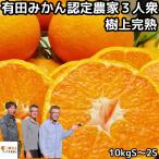 みかん 有田 小玉 甘い 美味しい 糖度 和歌山 fromありだ 樹上完熟 早生 温州 10kg S〜2S サイズ お歳暮 贈答用 箱 買い