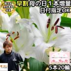 花 ユリ 花束 大輪 ギフト 白 5本 20