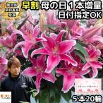 花 ユリ 母の日 花束 大輪 ギフト ピ