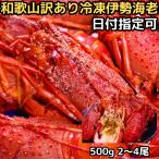 伊勢海老 訳あり 冷凍 おせち 日付指定OK 和歌山 訳あり 伊勢エビ 足折れ・角折れ 500g 2〜4尾入 小サイズ 加熱用 お歳暮 送料無料