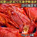  Исэ город море . есть перевод рефрижератор осэти Новый год дата указание OK подарок Wakayama есть перевод лангуст пара поломка угол поломка 1kg 4~8 хвост маленький размер нагревание для подарок по случаю конца года бесплатная доставка Исэ город .. лангуст 