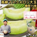 メロン 母の日 ギフト プレゼント 塩 アールスメロン 匠 大玉 1玉 3L-4L 約18-2kg 糖度15度 熊本