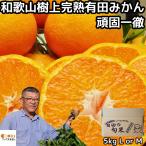 みかん 有田 甘い 美味しい 糖度 和歌山 頑固一徹 生勇農園 樹上完熟 早生 温州 5kg l or m お歳暮 贈答用