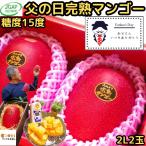 マンゴー 父の日  2玉 ギフト プレゼント 宮崎 完熟マンゴー 赤秀 糖度15度 2l 小 化粧箱 宮崎 JGAP認定