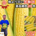 桃より甘い 最高糖度20度 45万本突破 長野 信州 信濃町 とうもろこし 2L〜L 10〜12本 県外不出 朝採 恵味