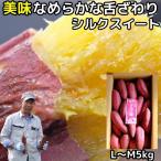  батат шелк сладкий 5kg l~m размер Ooita .. сельское хозяйство производство .. Satsuma клубень ho k ho k подарок в коробке 2025