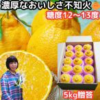 ショッピングデコポン デコポン 同品種 不知火 贈答用 5kg 熊本 送料無料 甘いの でこぽん 5キロ こだわり生産者限定 安心の化学肥料・除草剤不使用 しらぬい 5kg ギフト用