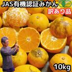 みかん 訳あり 有機 JAS認証 10kg B品 ss〜2l サイズ混合 みかん 甘い 糖度 送料無料 佐賀 鹿島 佐藤農場 オーガニック わけあり みかん 箱 買い