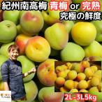 梅 南高梅 梅干し用 5kg 2L～3L 手摘み品質 生梅 うめ 梅酒用 和歌山 紀州産 田辺 岡本農園 完熟 熟も対応