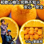 ショッピングデコポン デコポン 同品種 不知火 訳あり 10kg 和歌山 有田柑橘さんさん 樹上完熟 甘い 家庭用 農家 直送