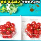 さくらんぼ 母の日 プレゼント ギフト 佐藤錦 紅秀峰 東京某高級店が惚れ込む味 山形 畑の宝箱 100g×2p Ｌ〜M