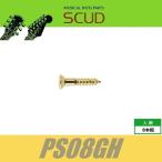 SCUD PS08GH　エスカッションビス　ミリ　フロント用　Φ2.4 xL13mm　丸皿頭　8pcs　ゴールド　ねじ　スカッド